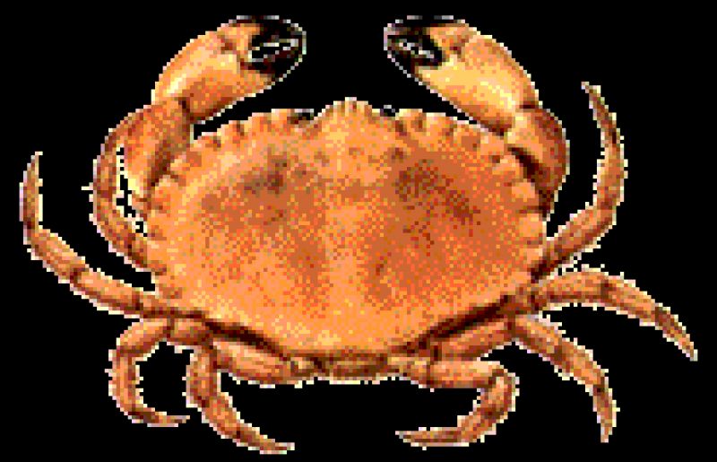 image017.gif